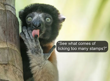 Responsive image